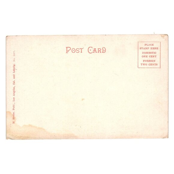 A California Park Vintage Postcard M. Rieder Publisher Los Angeles Leipzig 3377 - Picture 2 of 2
